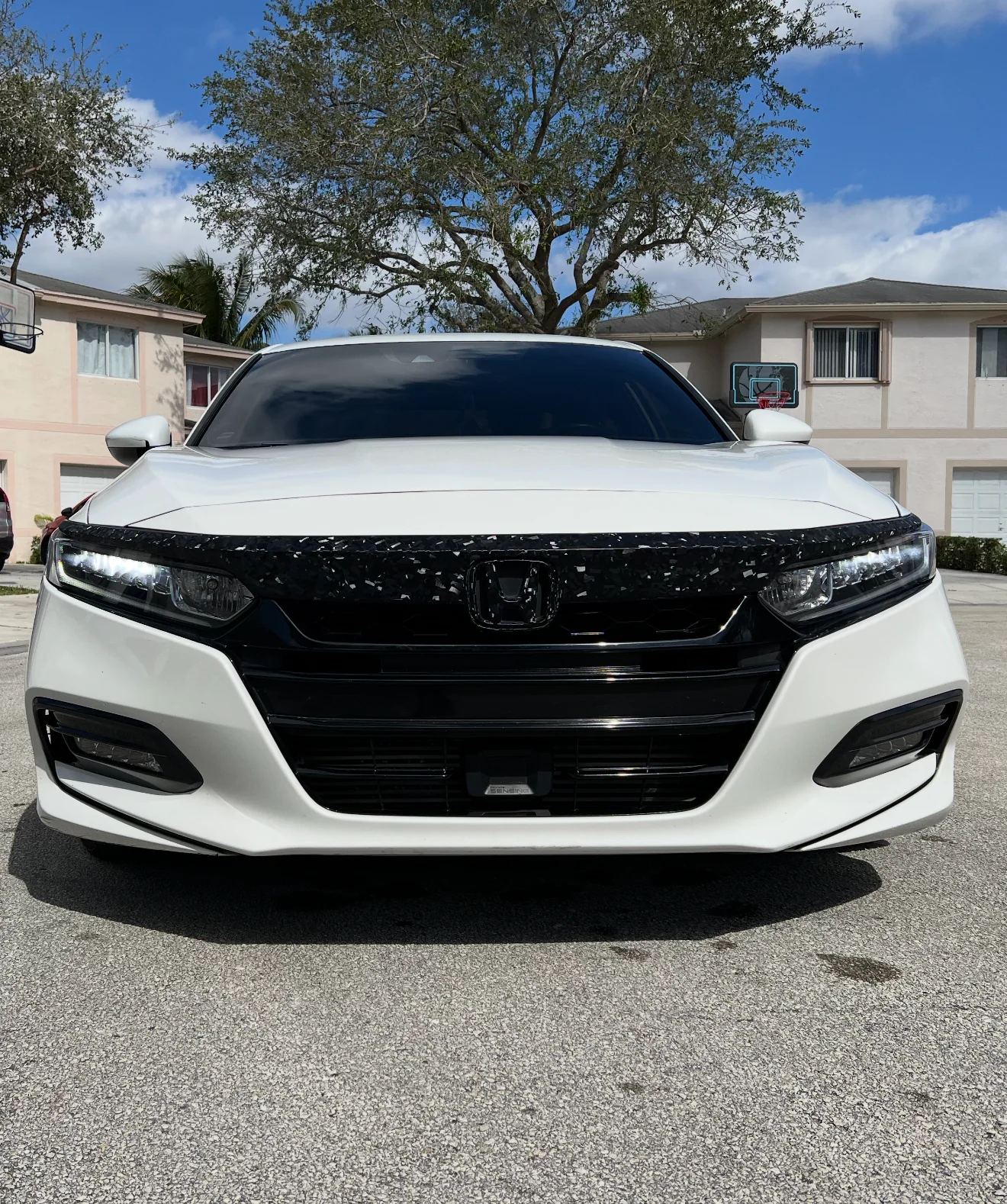 2021-2022 HONDA ACCORD FORGED CARBON FIBER OVERLAY CHROME DELETE GRILL COMPLETE - Image 42