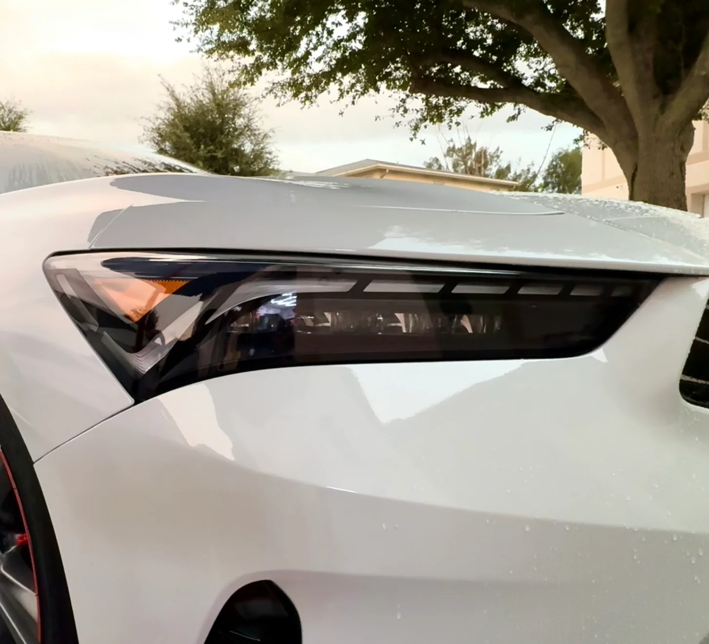 2022-2026 ACURA INTEGRA & INTEGRA S TYPE MATRIX DRL HEADLIGHT TINT